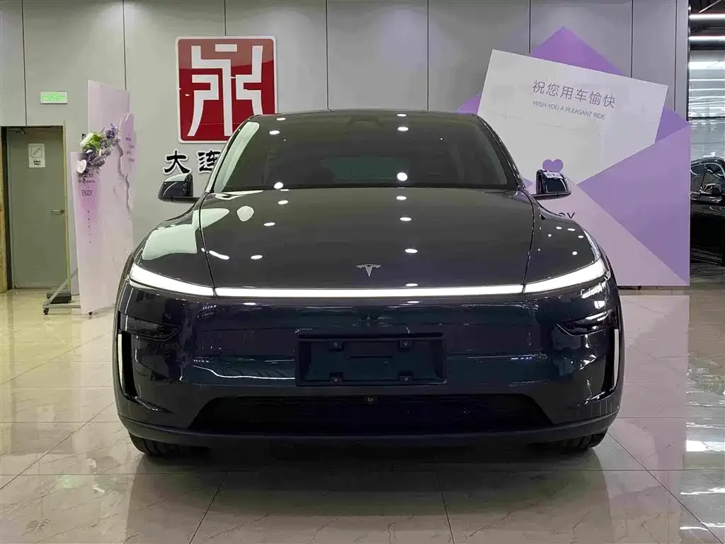 Tesla Model Y — фото 9