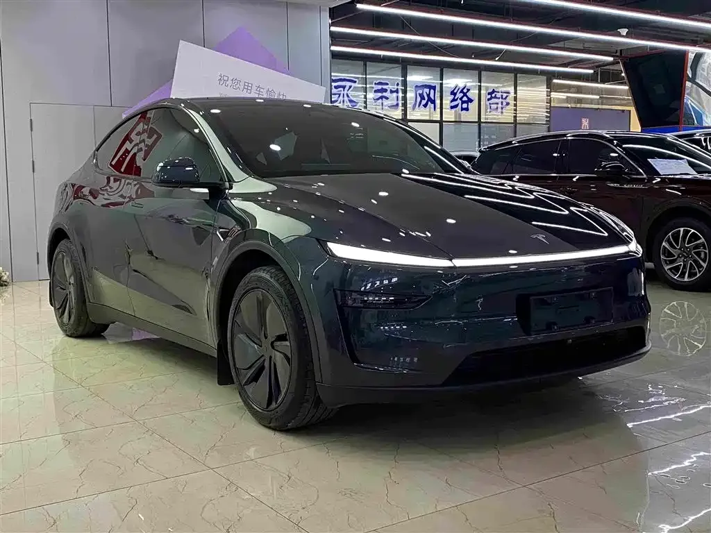 Tesla Model Y — фото 7