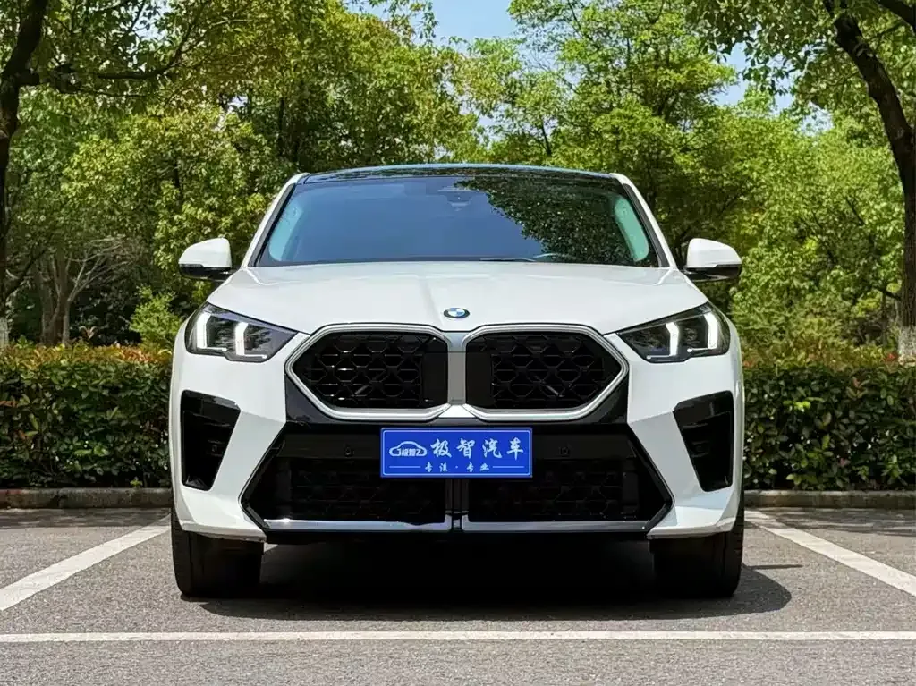 BMW X2 (Import) 2024 из CN, фото 2