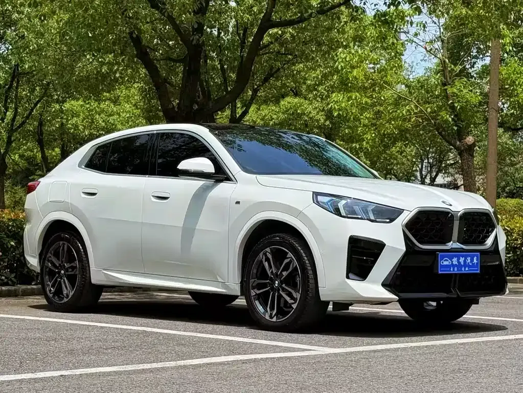 BMW X2 (Import) 2024 из CN, фото 4
