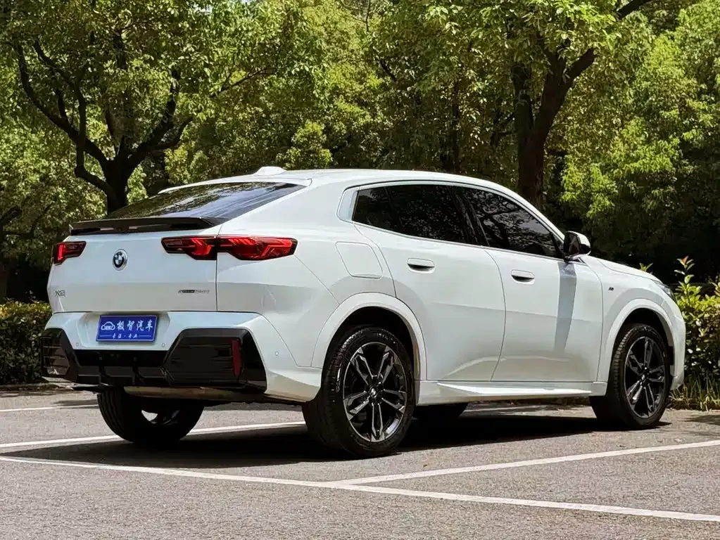BMW X2 (Import) 2024 из CN, фото 3