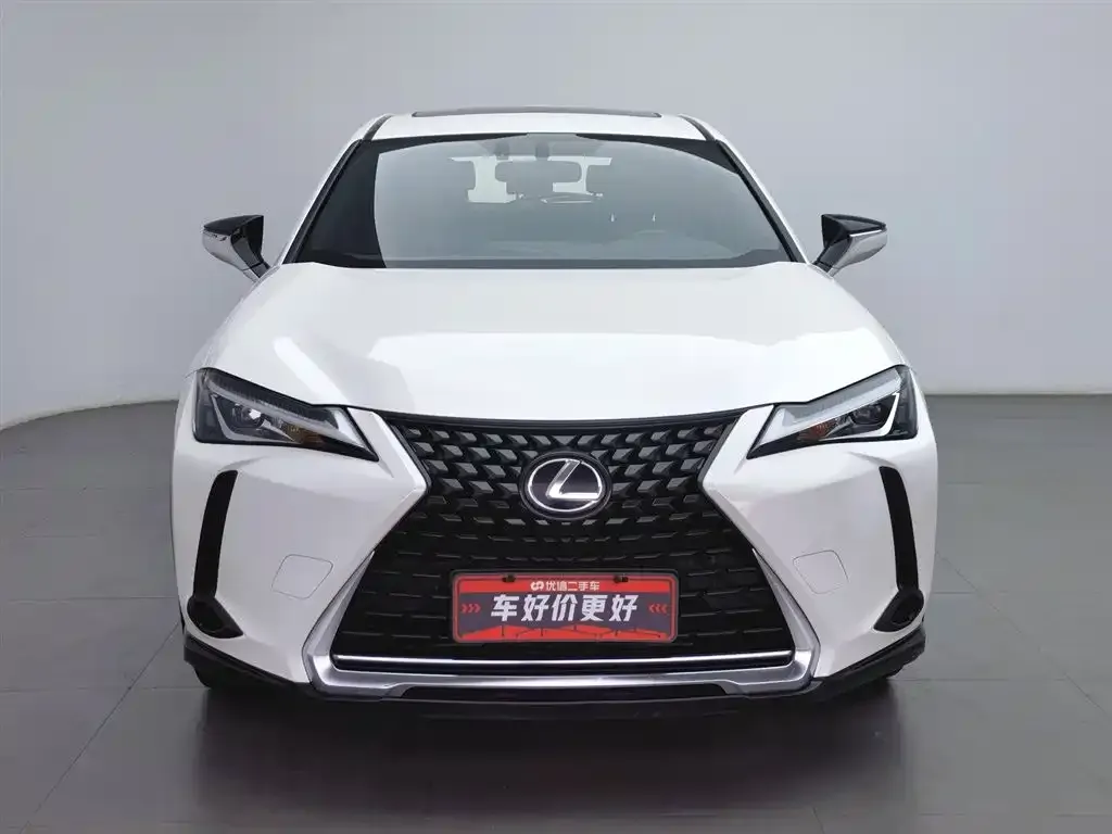 Lexus UX 2021 из CN, фото 9