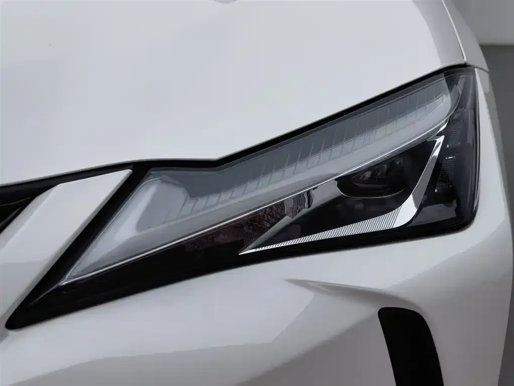 Lexus UX 2021 из CN, фото 4