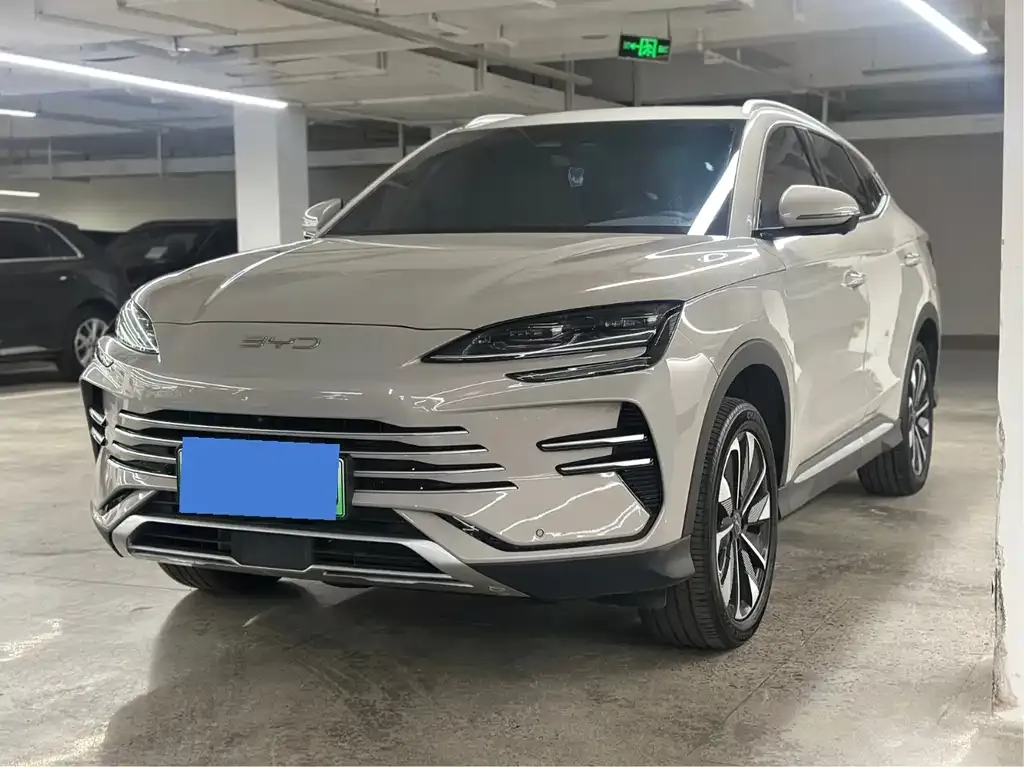 BYD PLUS New Energy — фото 1