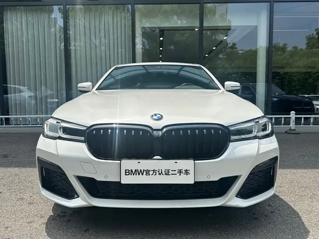 BMW 5 Series 2022 из CN, фото 4