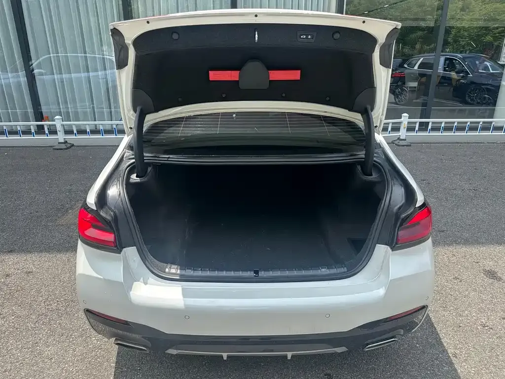 BMW 5 Series 2022 из CN, фото 2
