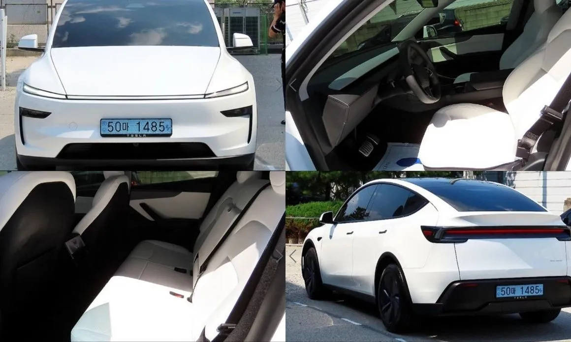 Tesla Model Y — фото 1