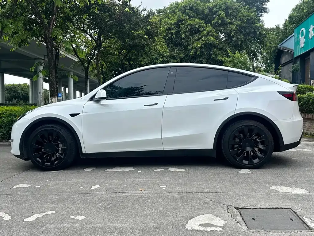 Tesla Model Y — фото 8