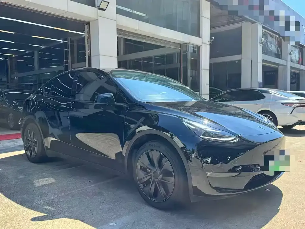 Tesla Model Y — фото 9