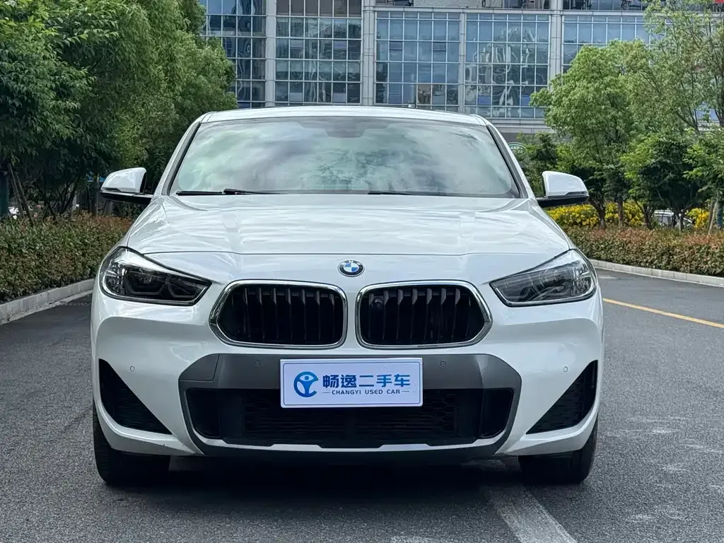 BMW X2 2021 из CN, фото 4