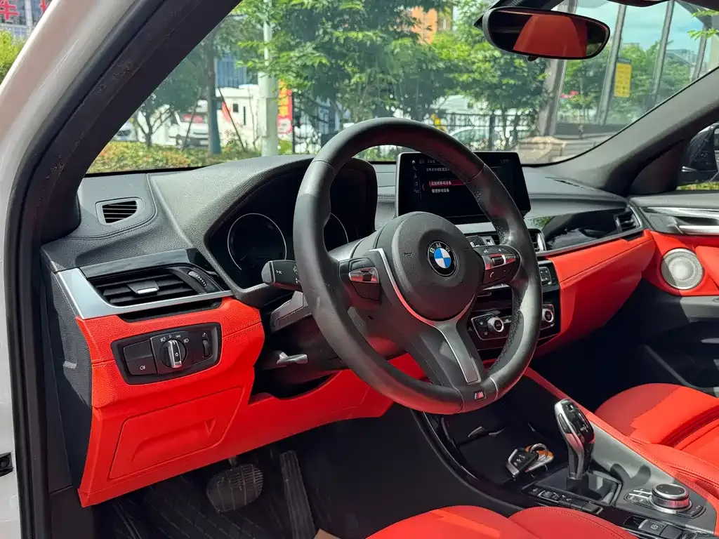 BMW X2 2021 из CN, фото 6