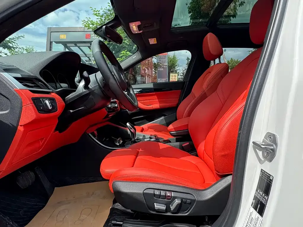 BMW X2 2021 из CN, фото 8