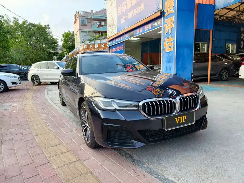 BMW 5 Series 2021 из CN, фото 6