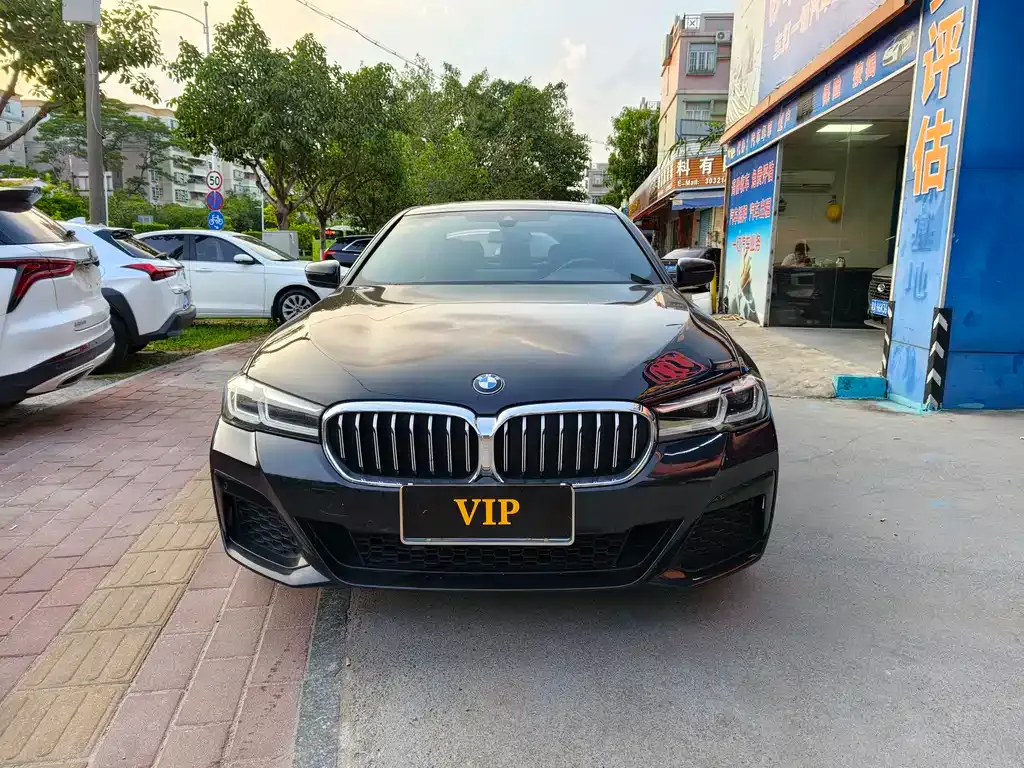 BMW 5 Series 2021 из CN, фото 8