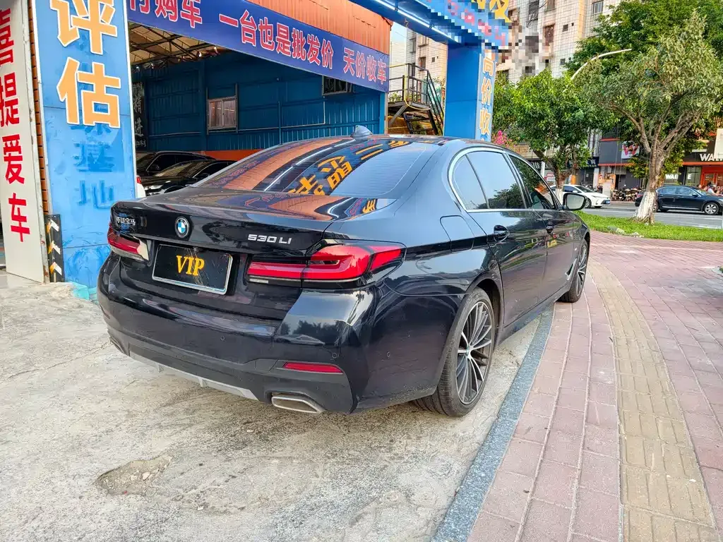 BMW 5 Series 2021 из CN, фото 9
