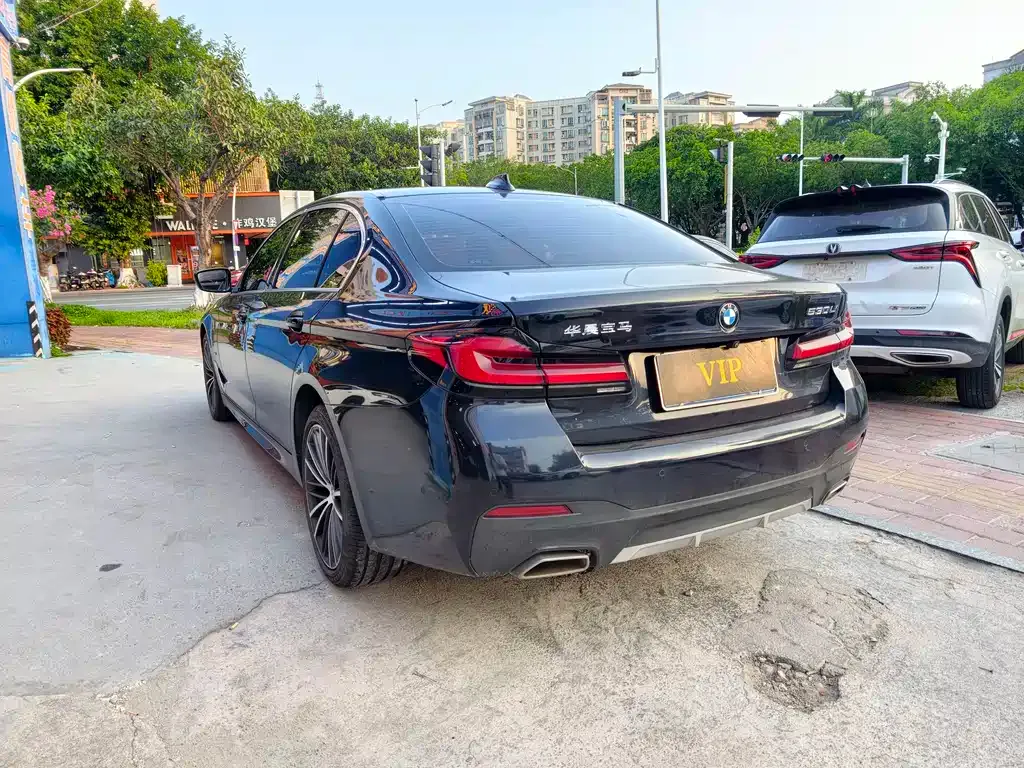 BMW 5 Series 2021 из CN, фото 7