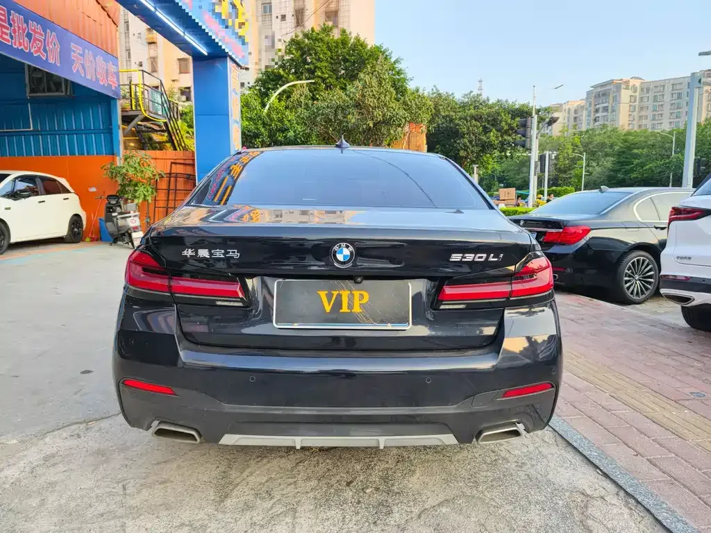 BMW 5 Series 2021 из CN, фото 3