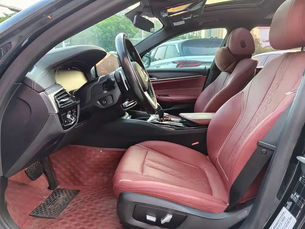 BMW 5 Series 2021 из CN, фото 4