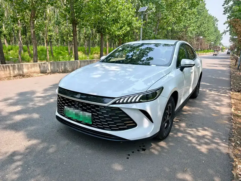 BYD Qin PLUS — фото 1