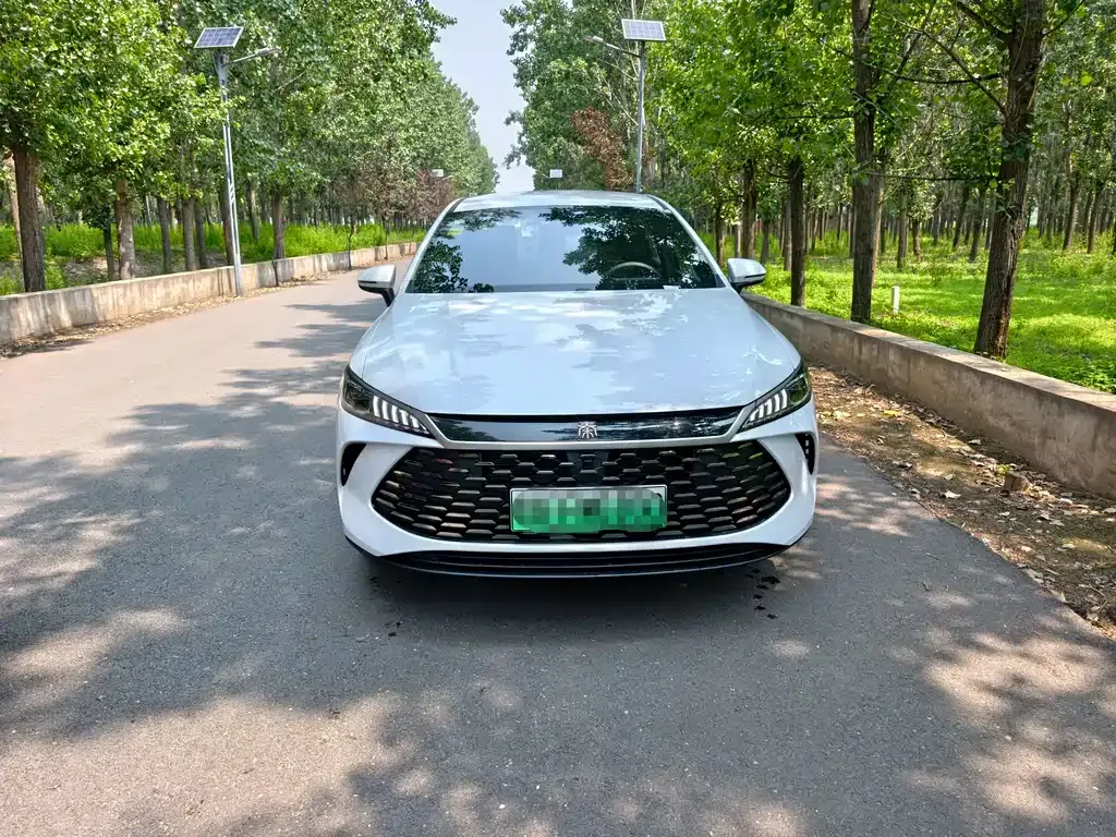 BYD Qin PLUS — фото 5