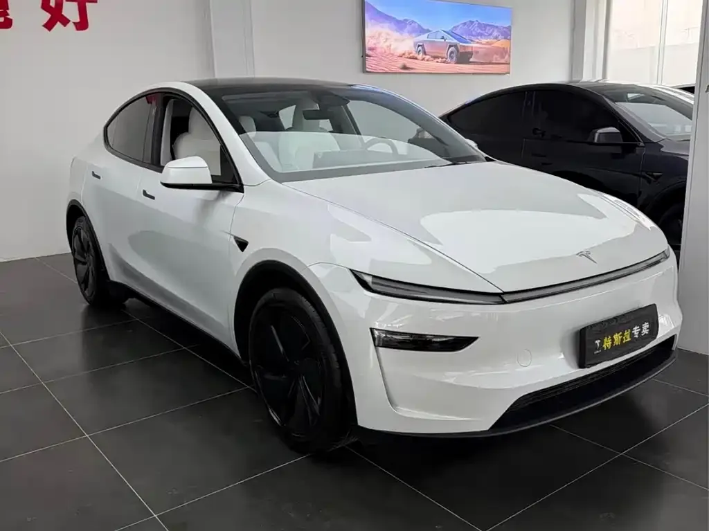 Tesla Model Y — фото 6