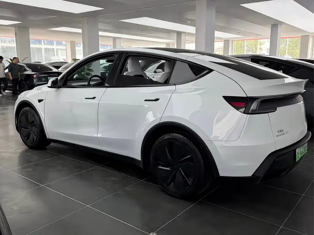 Tesla Model Y — фото 8