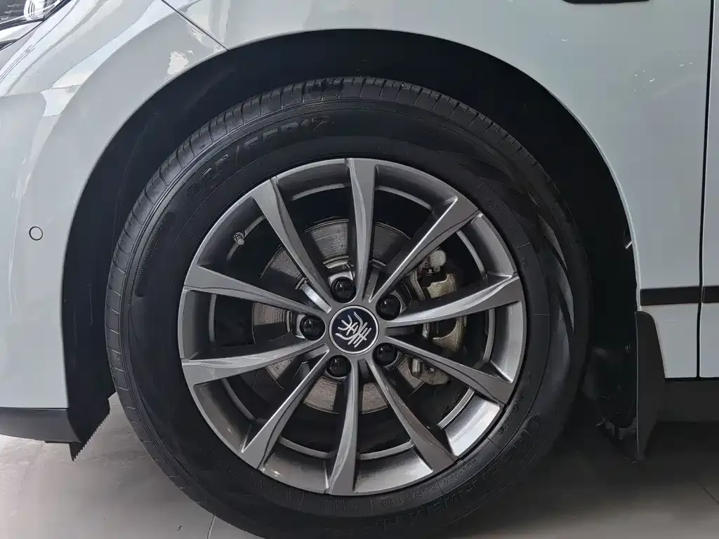BYD Qin L 2025 из CN, фото 4
