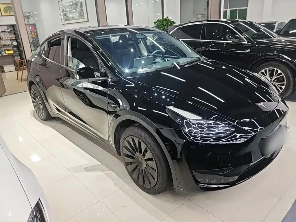 Tesla Model Y — фото 10