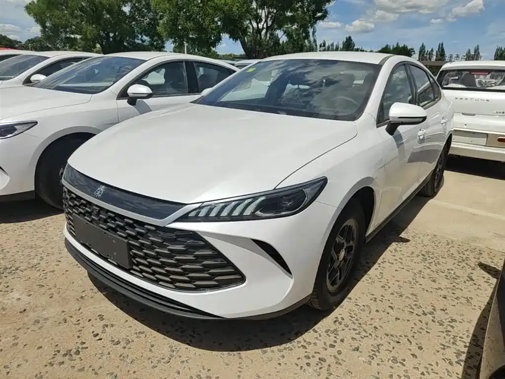 BYD Qin PLUS — фото 1