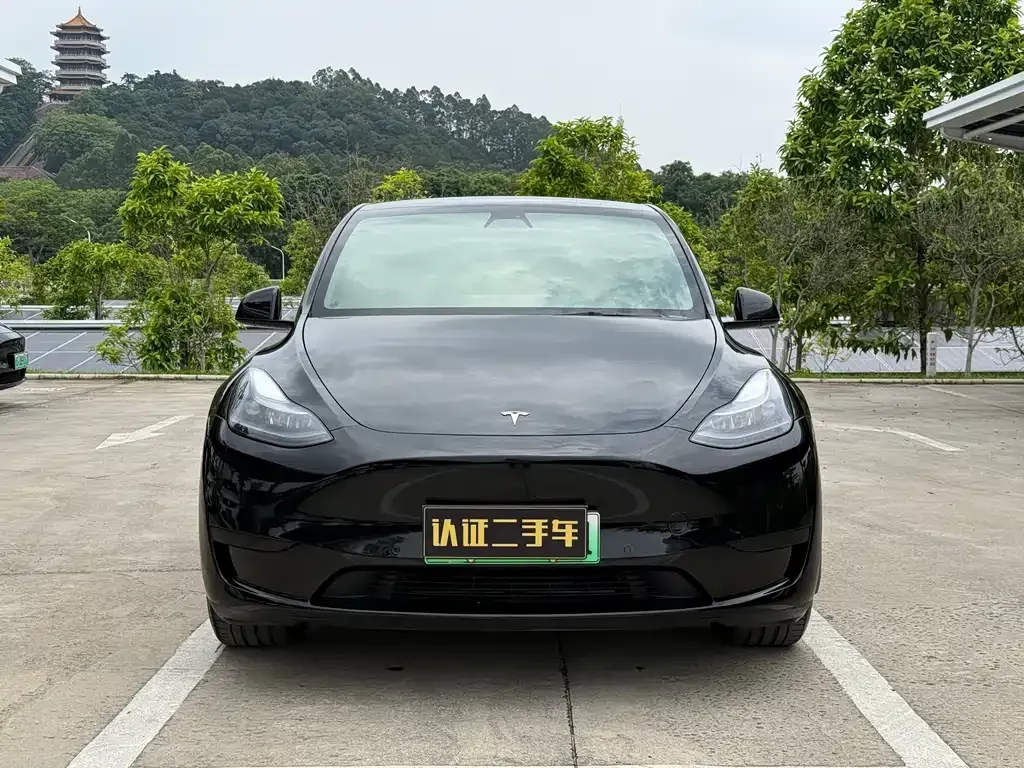 Tesla Model Y — фото 6