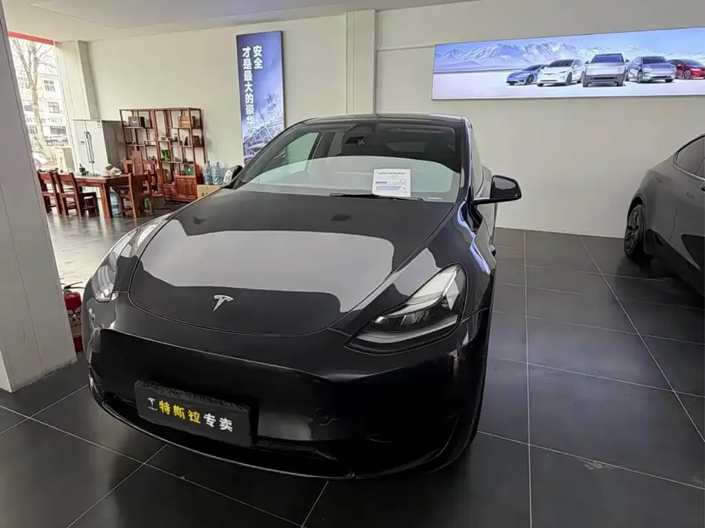 Tesla Model Y — фото 1