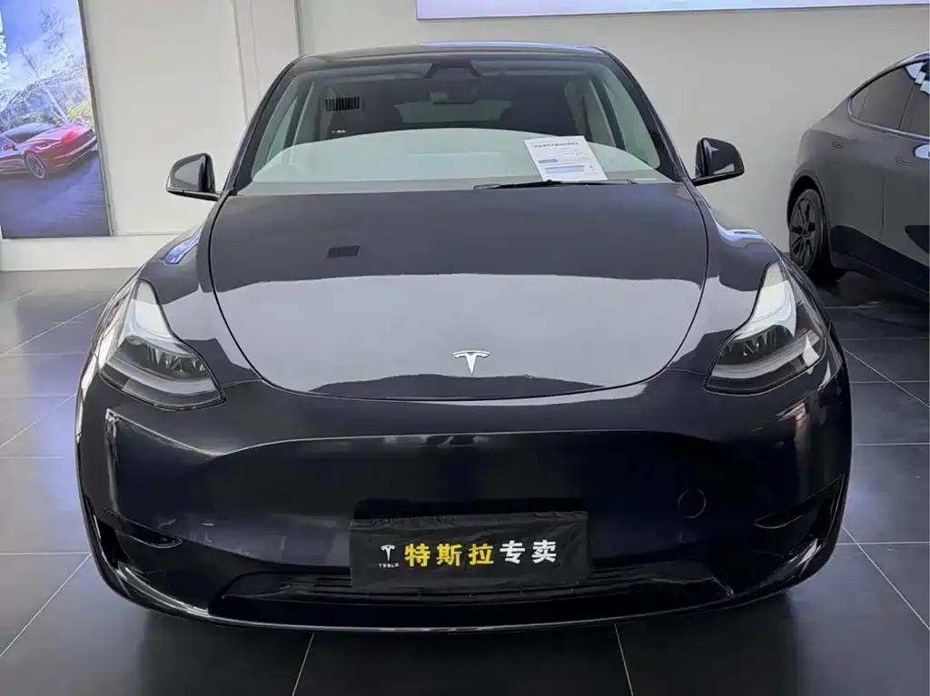 Tesla Model Y — фото 4