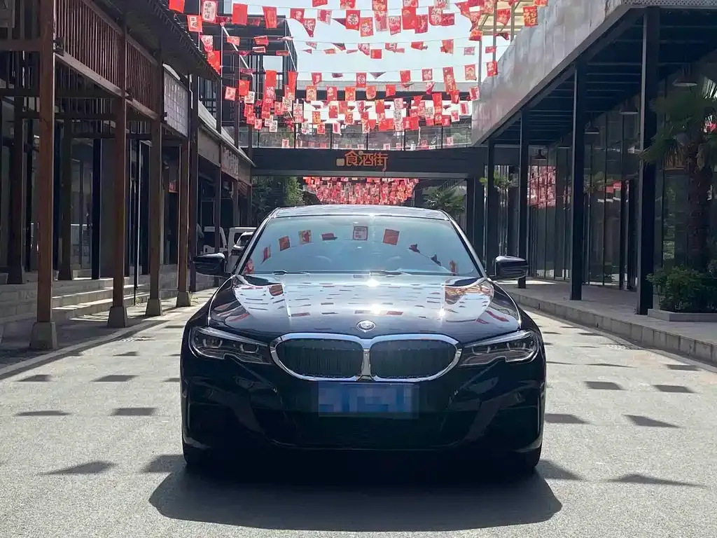 BMW 3 Series 2021 из CN, фото 9