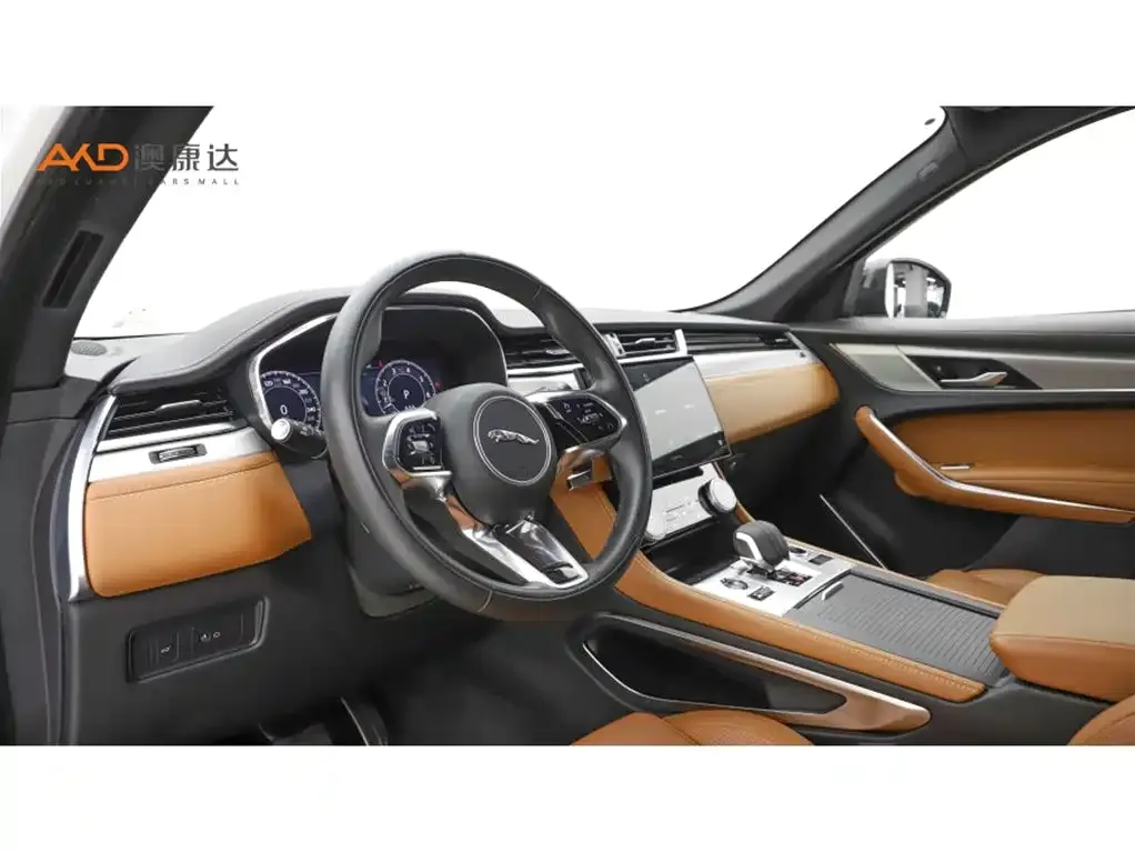 Jaguar F-PACE 2024 из CN, фото 8