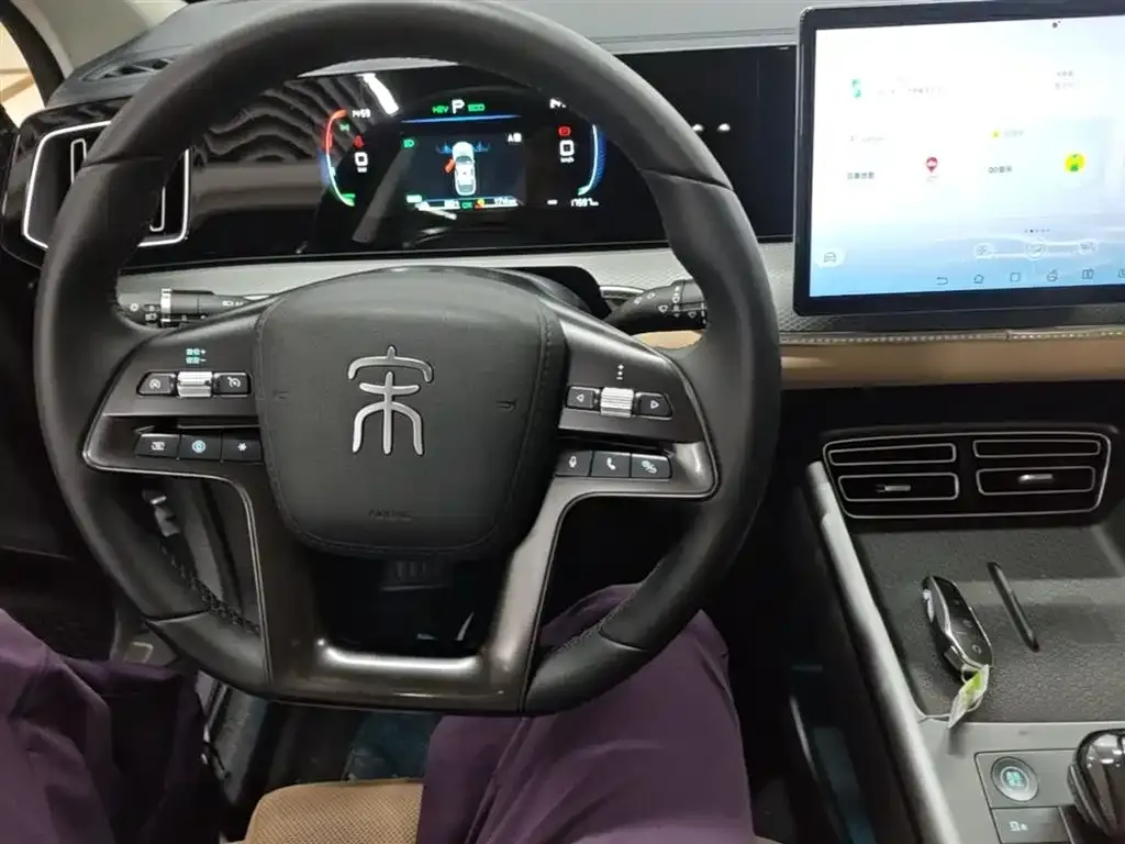 BYD Pro New Energy 2025 из CN, фото 2