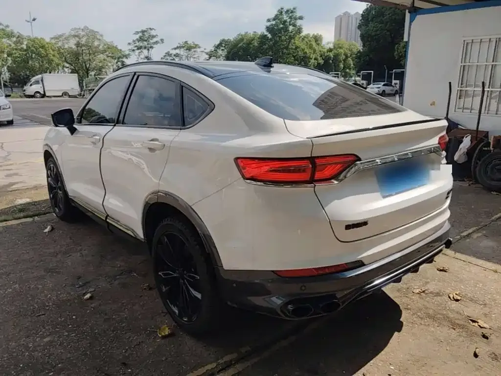 Geely Xingyue S 2021 из CN, фото 6