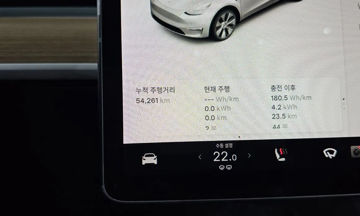 Tesla Model Y 2021 из KR, фото 3