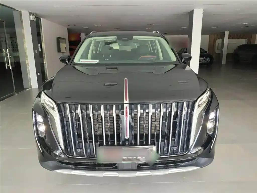Hongqi HS7 PHEV 2024 из CN, фото 10