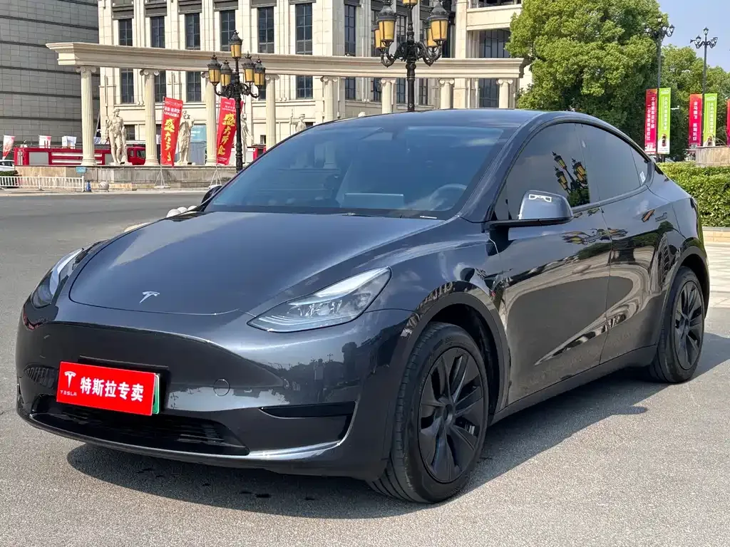 Tesla Model Y — фото 1