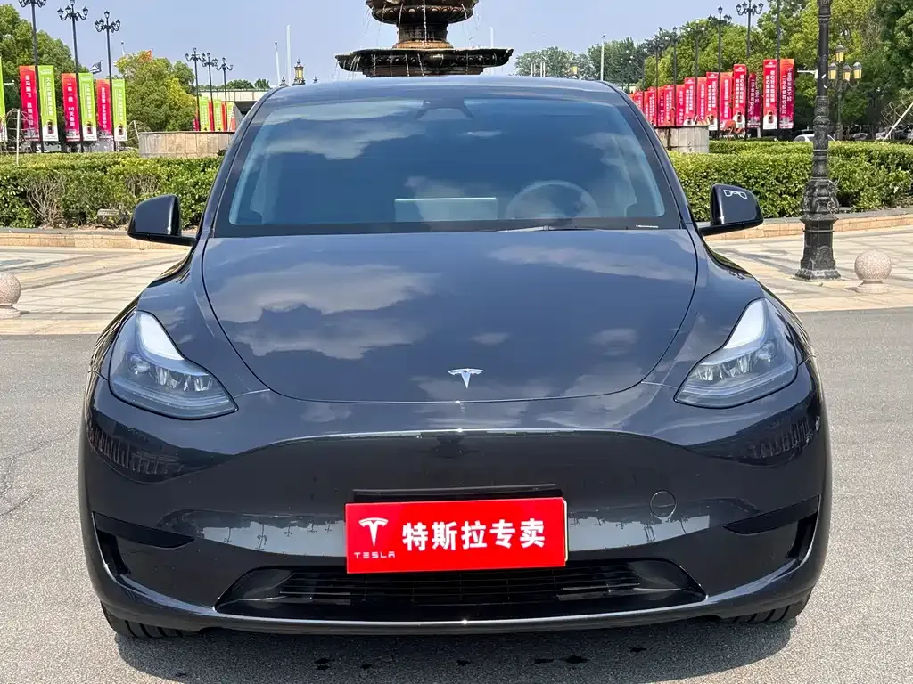 Tesla Model Y — фото 4