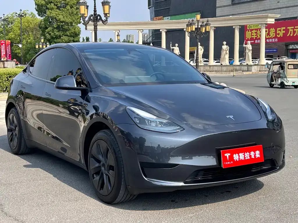 Tesla Model Y — фото 6