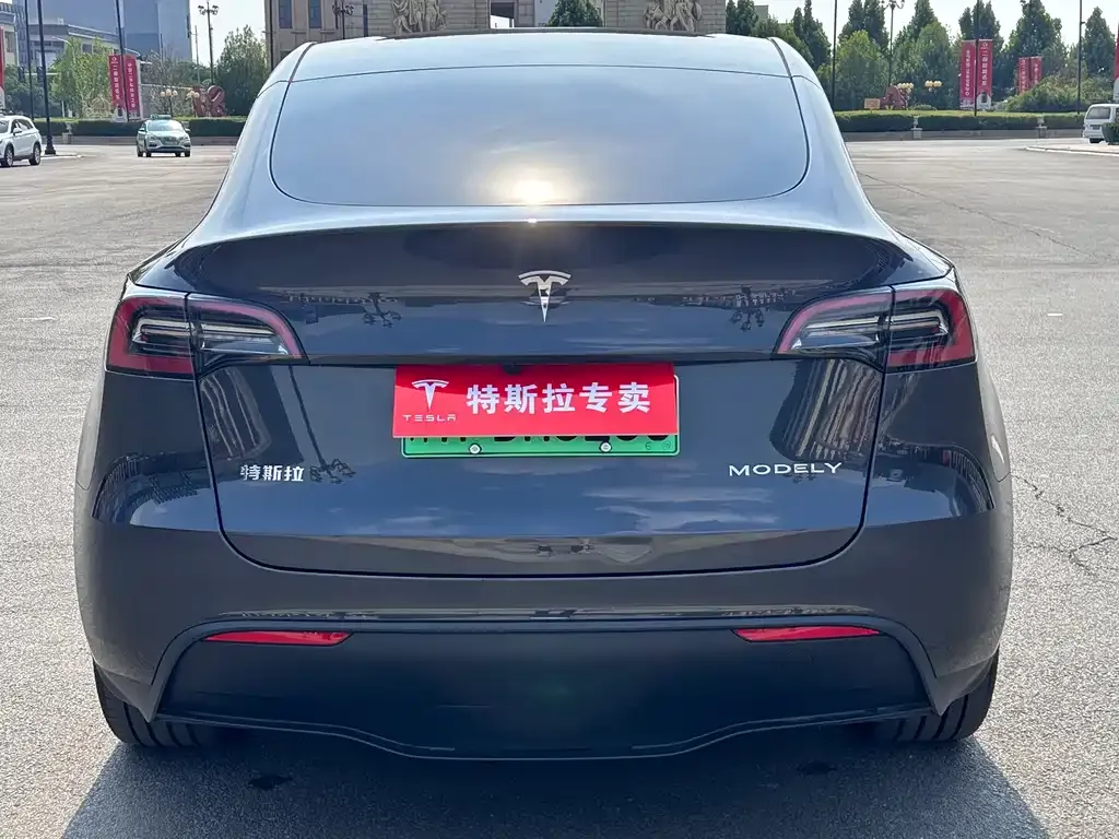 Tesla Model Y — фото 2