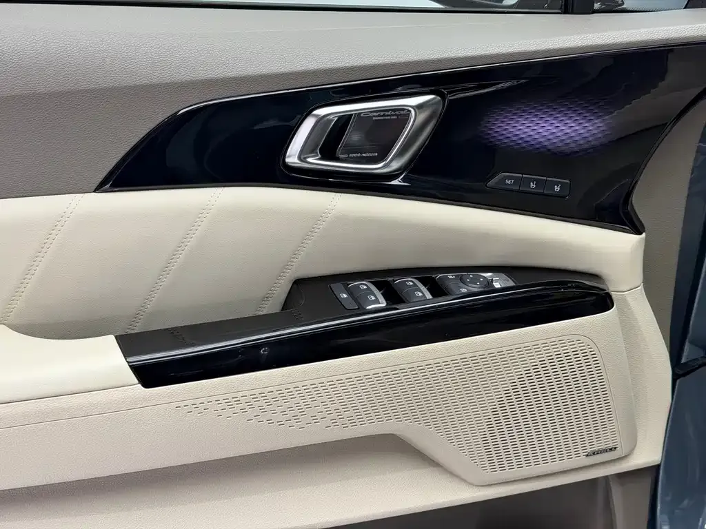 Kia Carnival 2022 из CN, фото 4