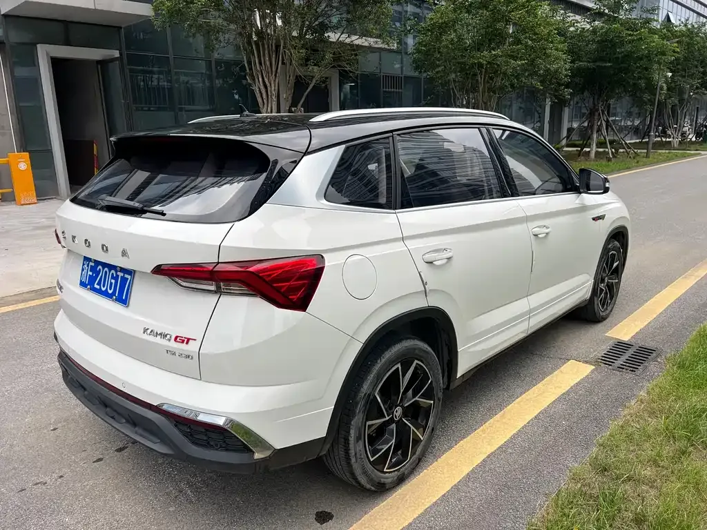 Skoda Kamiq 2022 из CN, фото 9