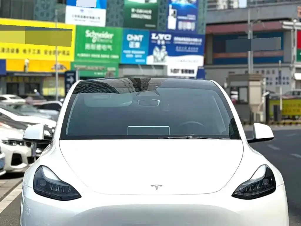 Tesla Model Y — фото 3