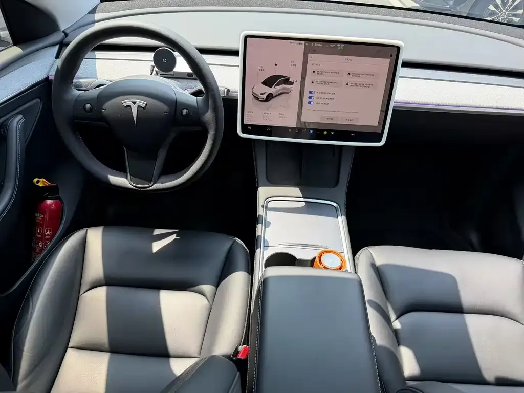 Tesla Model Y — фото 8