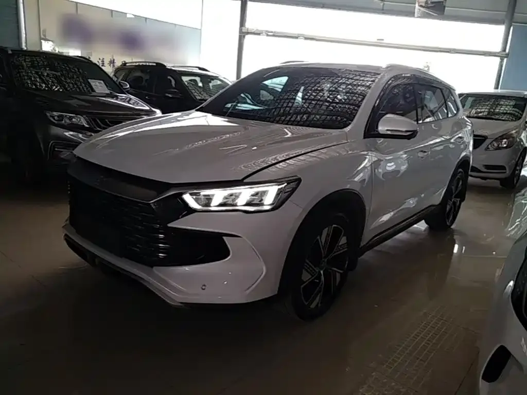 BYD Pro New Energy — фото 1