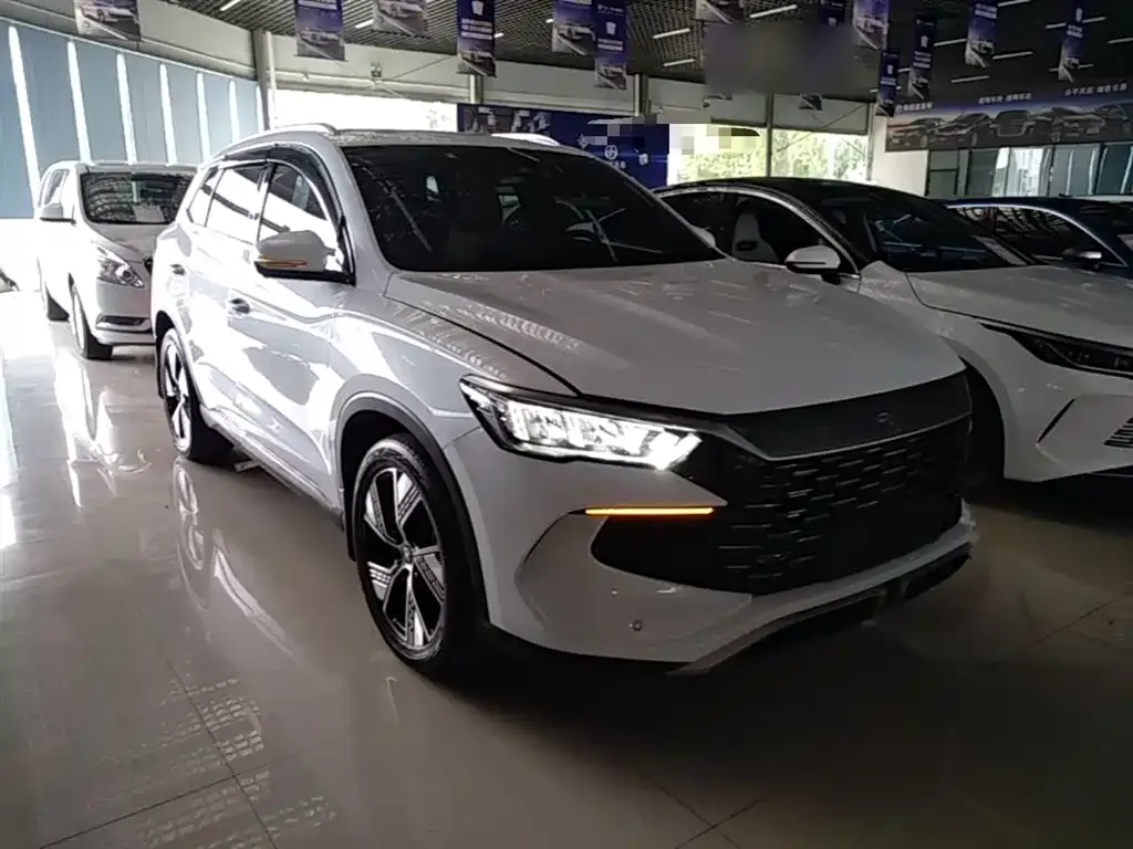 BYD Pro New Energy — фото 8