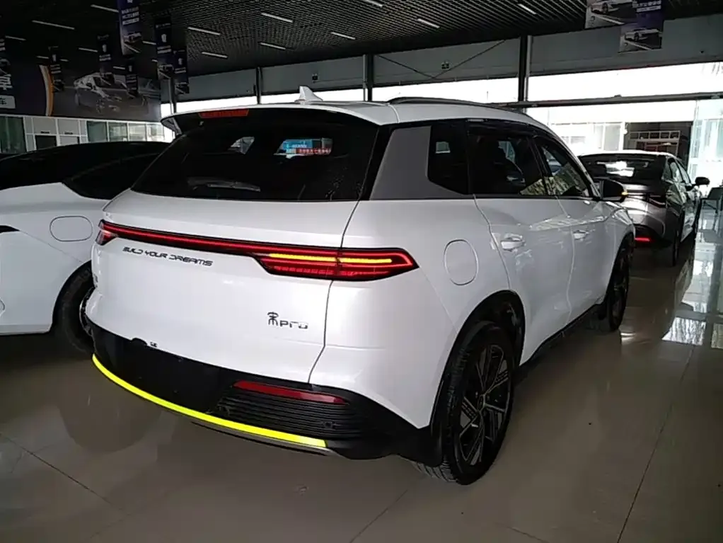 BYD Pro New Energy — фото 2