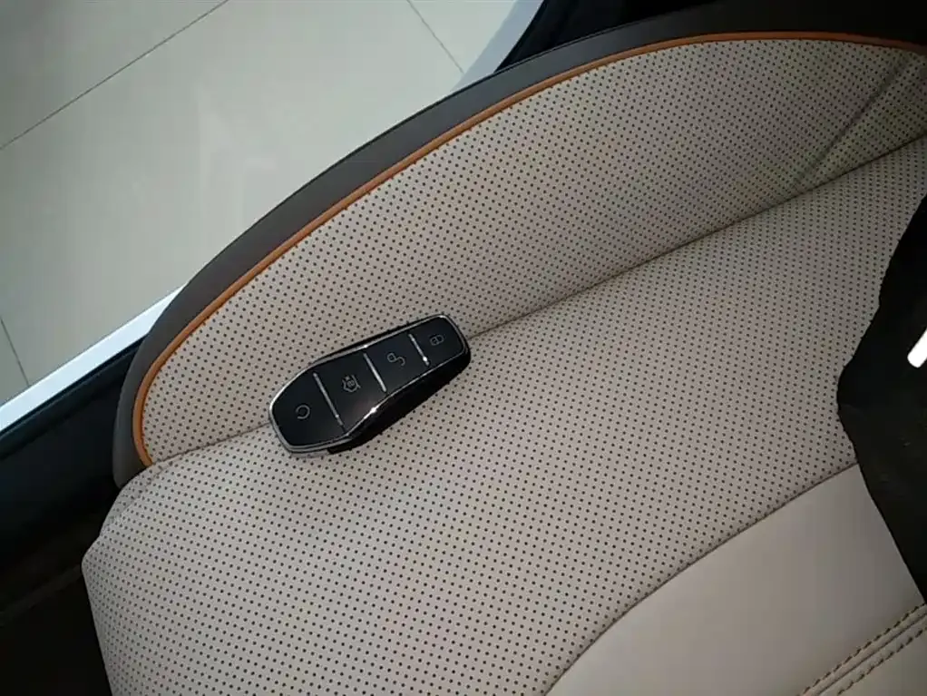 BYD Pro New Energy — фото 5